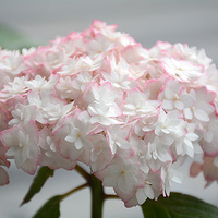 2022����ڶ���