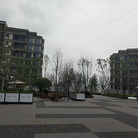 �ҵļ��Ժ���������ˣ�������