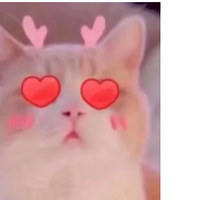 ʫݣ뵽ą̂εºܣ