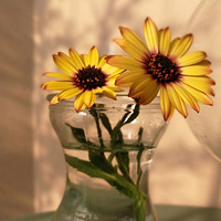 2022��̨����