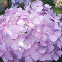 ���򻨹�Ȼ�õ�Ͳ�����պ��λ�