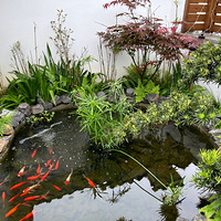 �����Ҽҵ���ʽͥԺ����������С�������¼���������