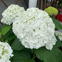 ¥�������¼������󡭡�