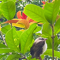 ���ϵ������˸��񱦱���5.26�Ѹ��½���