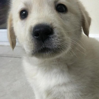 ��¼һ���Ҽ����������ĳɳ�ʷ