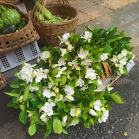 ���ӻ���ͬ�ĵص�۸�Ҳ��һ����