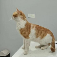 �Ѿ������������ٰ׵ܵ��Ҹ�����