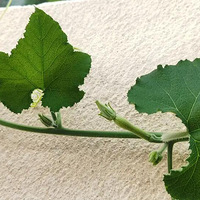 �ҵ���̨�ֲ��ռ�