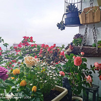 �뻨ʫ��----10����̨���ʷ