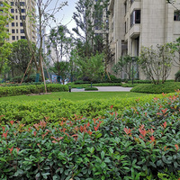 21��š����ס���ó�-�ִ�������Ҫ�ÿ���ʡǮ