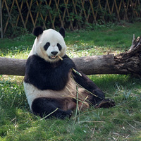 һȥ棿Щط/СѶȥֻѣ