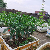 ������ʼ�ջ���