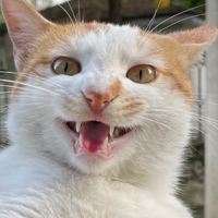 Ϊʲô͵�����Ըе�����