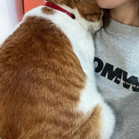 һ��ÿ�춼Ҫ��������������ʲô����˼��