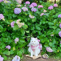 ������è��