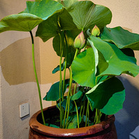 ���ŵ�����