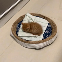 �����µ�Сè���׶���˯