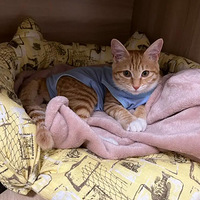 ����ҿ����Ҽ�С���٣���Ů�ӣ�