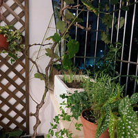 �ҵ�10ƽС��̨