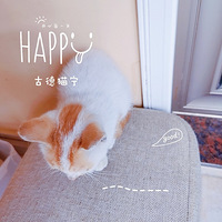 �ձ�ճ��С��԰һֻ