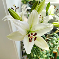 ������̨�������ǰٺ�