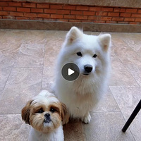 �����������ҵĻ���