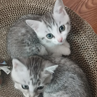 Сè�������