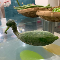 �ƹϳ���һֻѼ