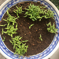 ��¼����̨�ֲ˵�С����