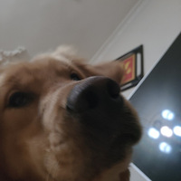 ��ʱ��һ����ë��������Ƶ����