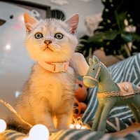 ��������������������������ͼ������������Ȼ��ū����