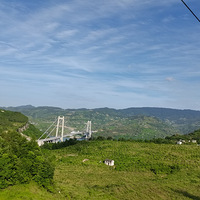 ժӣٲ