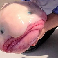 ���������Ķ��ֱ�ӳ�����ˣ�û��һ���Ǳ�����