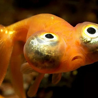 �����Ҽ��������õĶ��һ������10��Ԫ