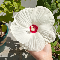 ��ܽ�ؿ��������ִ�������