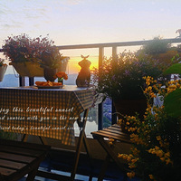 ��׳�ɳ��ɡ�