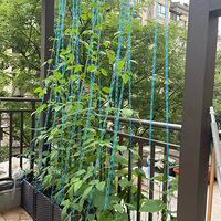 �лƹϳ��ˡ���