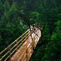 ע����3��С�£��������ֶȹ���������