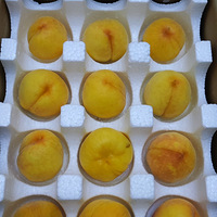 һҼˬڣ֭