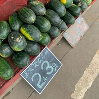 ������Ľ����ˮ�����ɵ�һ�죬̫�����ˡ�