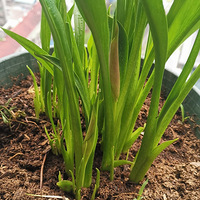 С��̨�Ļ�������