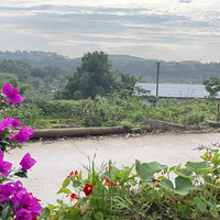 �����������㰡����