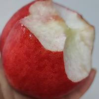 ŵѪ˿ң̫ó