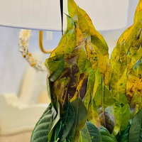 һװʦİְָŮҶȹӣ̫д