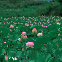 �����µ�һ������ ������������������������