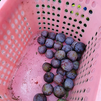 �������ˣ����ǳ�����