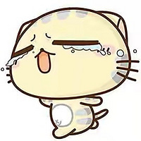 װ���ռ���ˮ�˼�¼�����ͷ磩