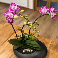 ���õ�ʱû�������ҵĺ�����ʱ��5���¸����ˣ�