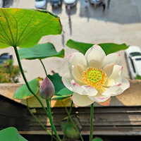 �ҵ����������ˣ����ɣ�