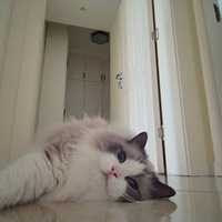 ͵��ĳ�����ǵ��ճ�